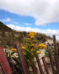 Scenic view of landscape against cloudy sky