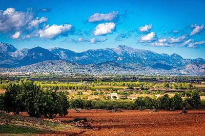 Scenic view of agricultural field against sky