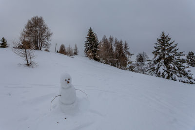 Snow covered land and trees