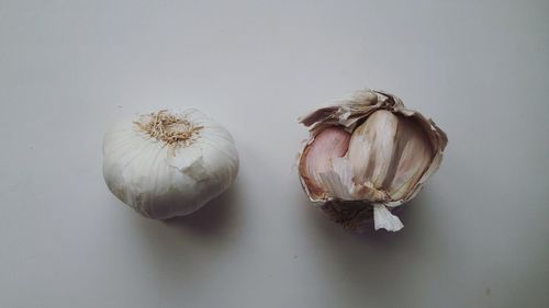 Close-up of food on table