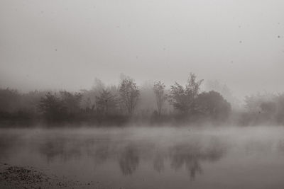 Trees by lake against sky