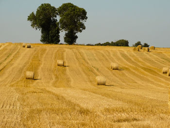 Hay bales on field against sky