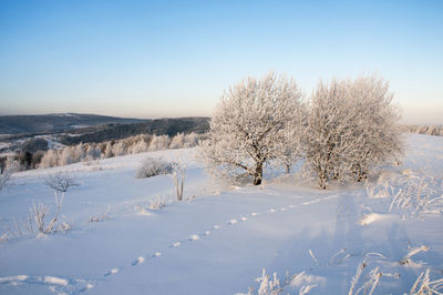 Winter morning in the mountain valley