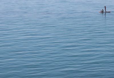 People paddleboarding in sea