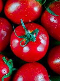 Full frame shot of tomatoes