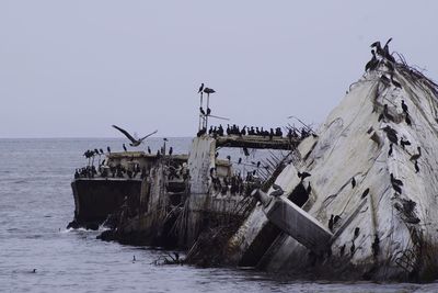 Abandoned ship in sea against clear sky