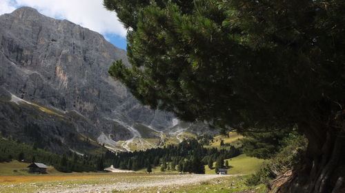 Scenic view of landscape and mountains