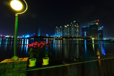 Potted plants by illuminated electric light on railing at night