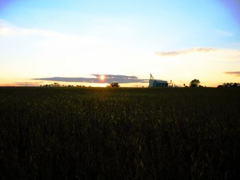 Scenic view of field against sky at sunset