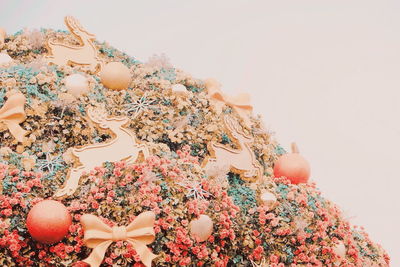 Close-up of multi colored flowers against clear sky