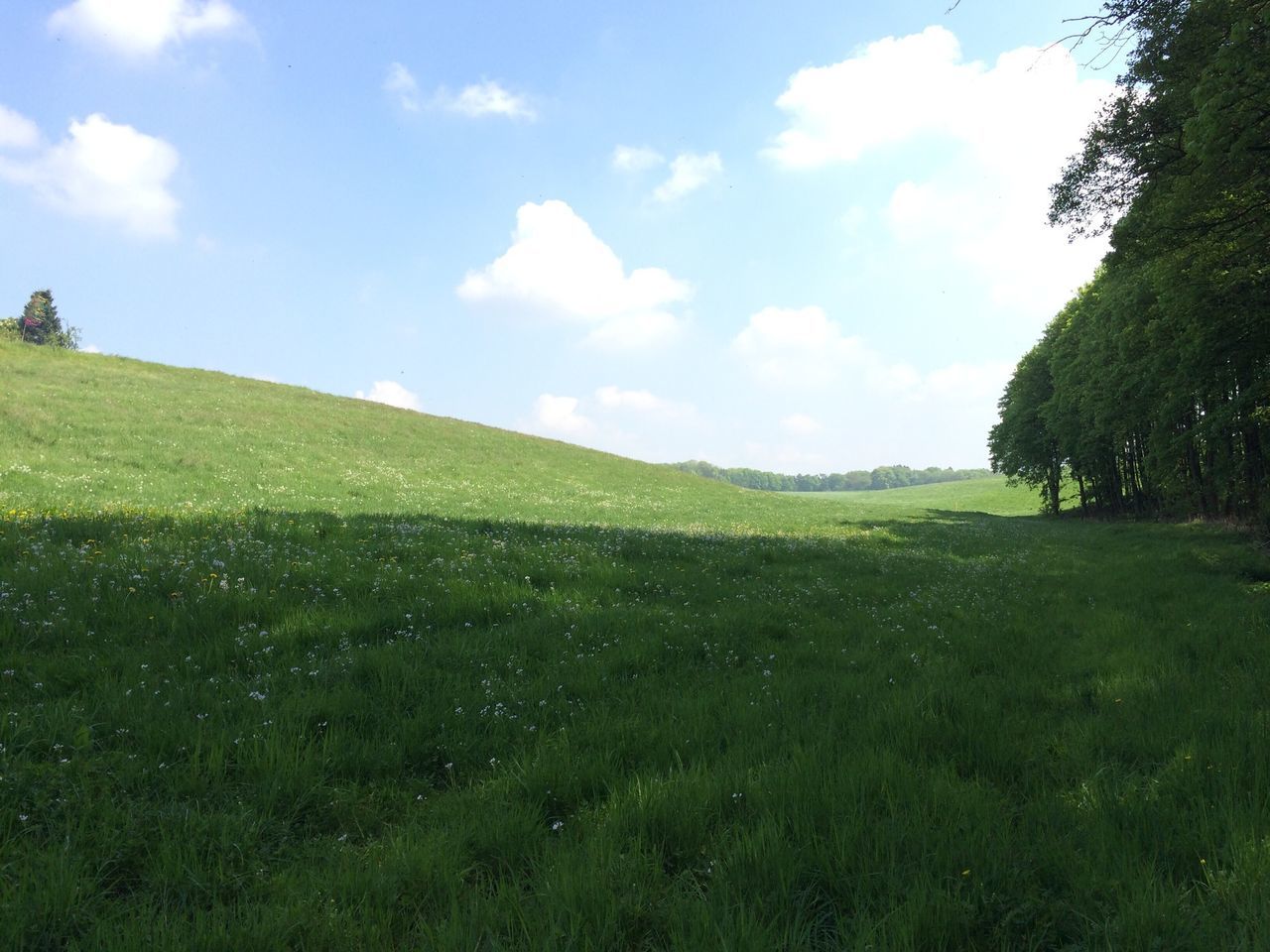 grass, sky, tranquil scene, tranquility, green color, landscape, scenics, beauty in nature, tree, grassy, field, nature, growth, cloud, cloud - sky, green, idyllic, non-urban scene, day, mountain