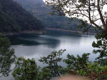 Scenic view of lake by trees against sky