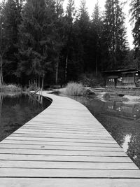 Empty footpath by lake against trees