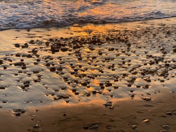 Aerial view of desert during sunset