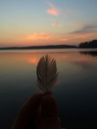 Close-up of hand holding feather against sky during sunset