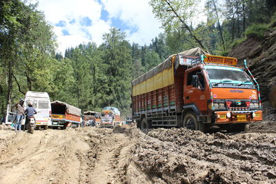 Vehicles on road along trees