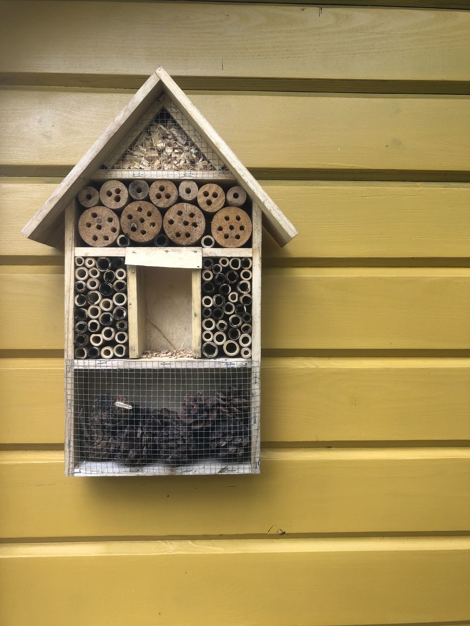 CLOSE-UP OF YELLOW WINDOW OF HOUSE