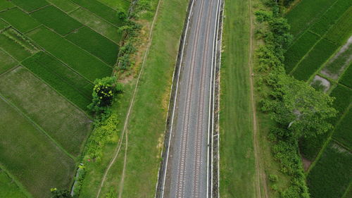 High angle view of agricultural field