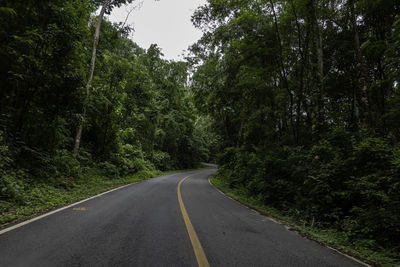 Countryside road passing through the lush green tropical rain forest mountain landscape