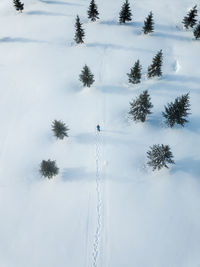 Trees on snow covered field against sky