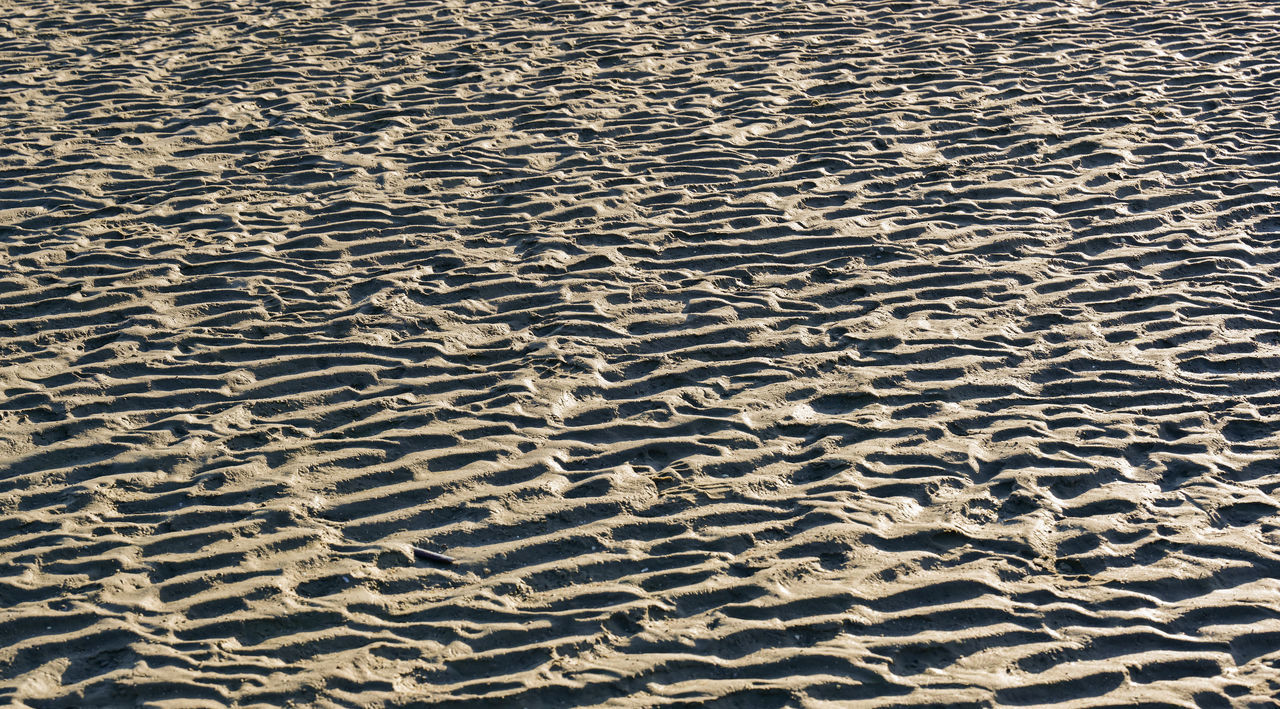 FULL FRAME SHOT OF SAND DUNES