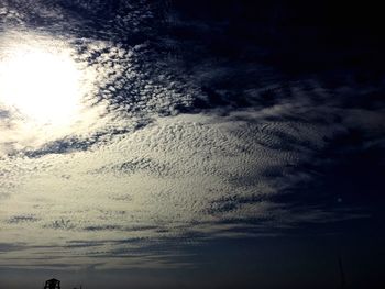 Close-up of tree against sky at sunset