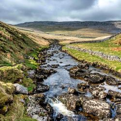 Scenic view of stream amidst green landscape against sky