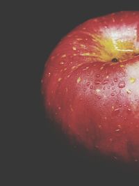 Close-up of wet red apple against black background