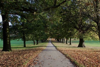 Footpath amidst trees in park during autumn