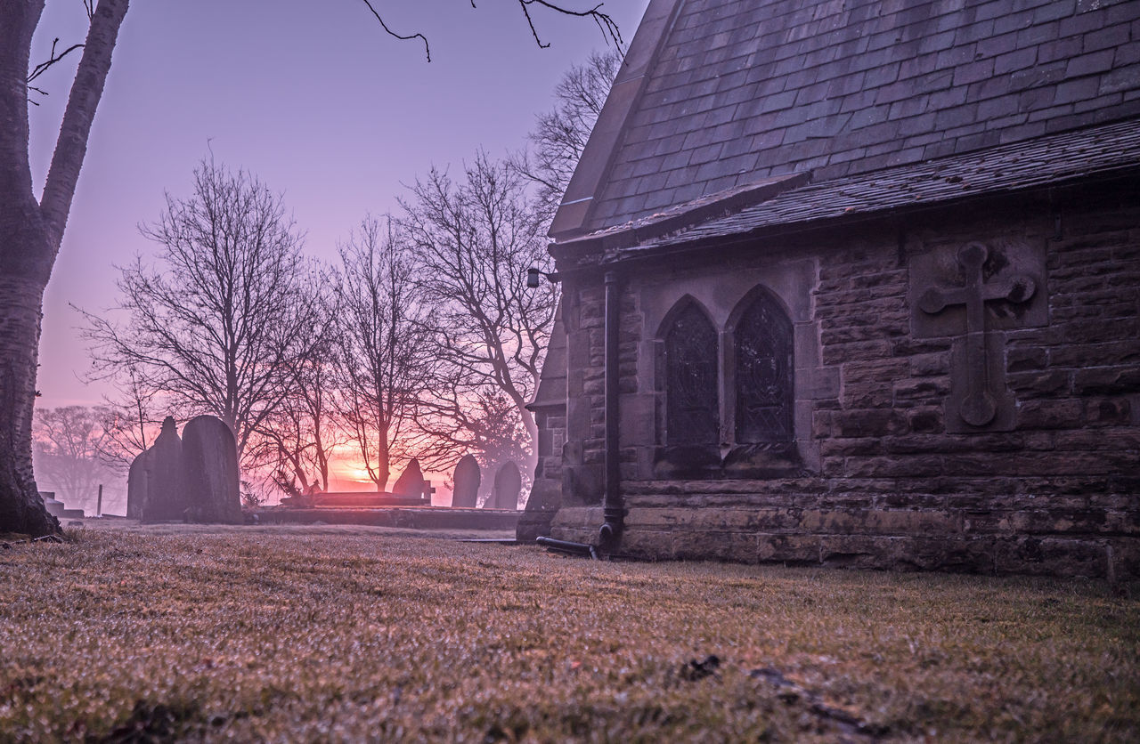 BARE TREES ON FIELD AGAINST BUILDINGS