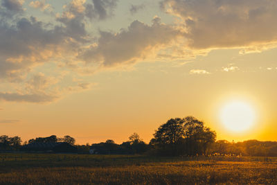 Scenic view of field against sky during sunset