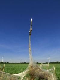Scenic view of field against blue sky