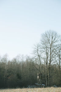 Bare trees on field against clear sky