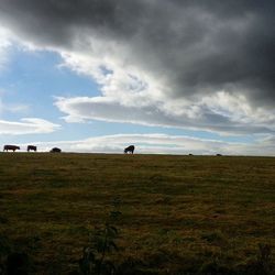 Scenic view of grassy field against cloudy sky