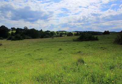 Scenic view of field against sky