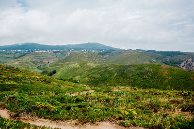 Scenic view of landscape against sky