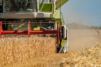 Combine harvester in farm