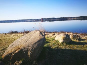 Close-up of tree against sky at sunset