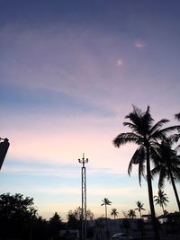 Low angle view of silhouette palm trees against sky