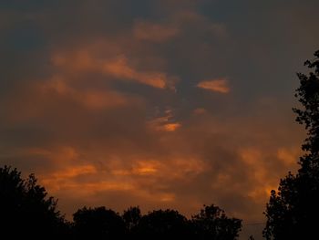 Low angle view of silhouette trees against dramatic sky