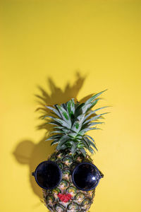 Close-up of potted plant against yellow wall