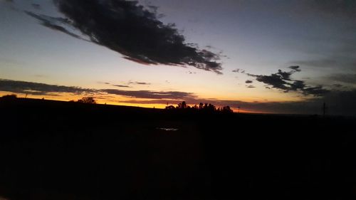 Silhouette trees at sunset