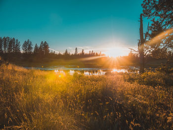 Scenic view of lake in forest against sky at sunset