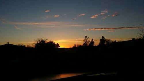 Silhouette trees at sunset