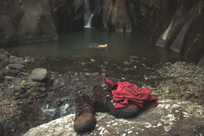 View of red rose on rock