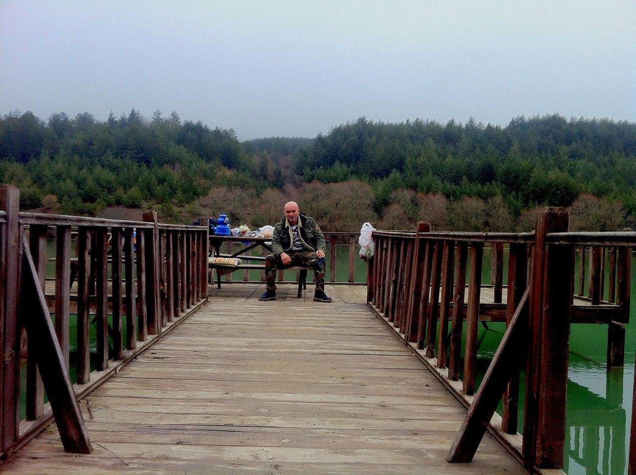 lifestyles, railing, full length, leisure activity, tree, men, rear view, the way forward, togetherness, clear sky, footbridge, person, casual clothing, walking, transportation, bonding, wood - material