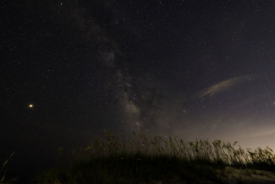 Low angle view of star field against sky at night