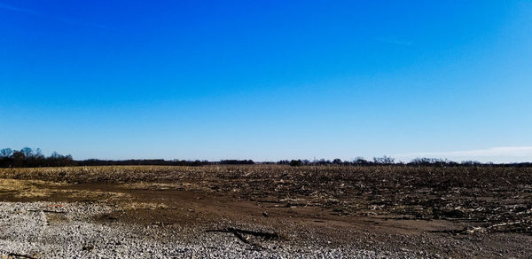 Scenic view of field against clear blue sky