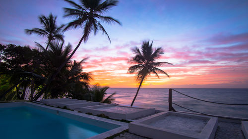 Palm trees by swimming pool against sky during sunset