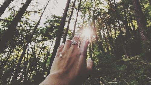 Cropped hand of woman gesturing against sunlight streaming through trees in forest